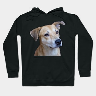 dog face Hoodie